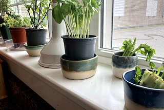 What I learned from Pottery Class