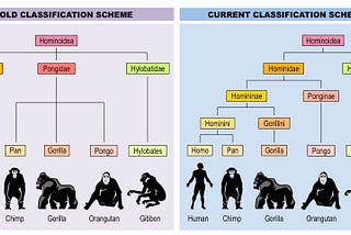 Warm up in Classification Modeling