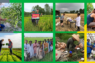 farmers, plant breeders in fields in Thailand, China, Ethiopia, France, Ivory Coast, the Netherlands, Pakistan, Hungary and Sierra Leone