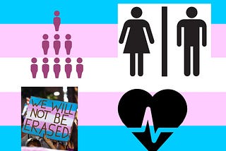 Political Transphobia Harms Trans People: LONG READ