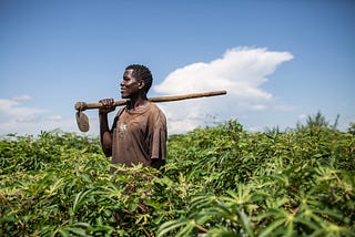 From 8kg food rations to 1,000kg harvests: A refugee’s journey to self-reliance