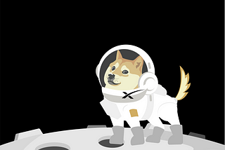 Welcome onboard to DogeXSpace !