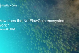 How does the NetFlowCoin ecosystem work?