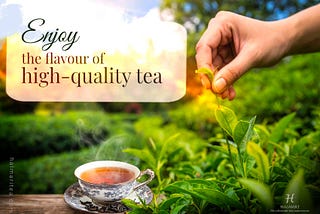 What Makes a Tea Truly ‘Premium’?