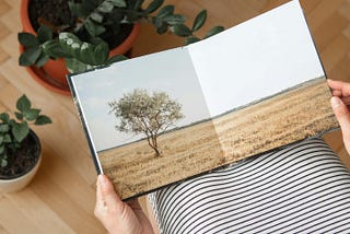 (PDF-)Fotobuch mit Apple Pages erstellen