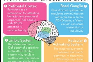 Abandoned Projects & Horrible Hobbies