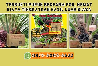 TERBUKTI, WA: 0878–8005–8622 Pupuk Durian Saat Musim HujanTerpercaya Di Mamuju Pupuk Durian Saat…