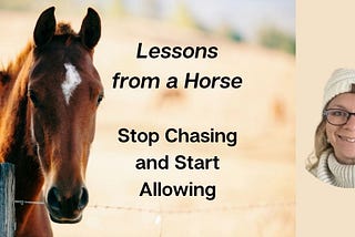 Lessons from a Horse