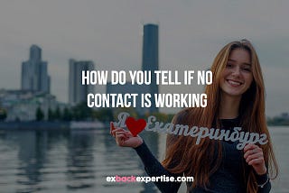 How Do You Tell If No Contact Is Working