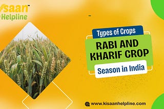Types of Crops — Rabi and Kharif Crop Season in India