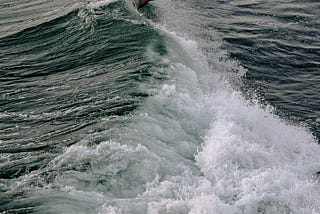 You Are Not the Storm: You Are the Surfer"