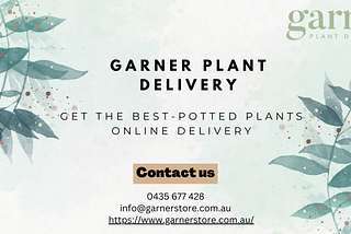 Get Online Delivery Of Potted Plants