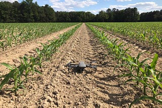 Maximize Your 2021 Corn Harvest With Drone Plant Counts
