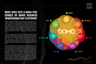 What goes into a Bona-Fide Cradle to Grave Business Transformation Platform?