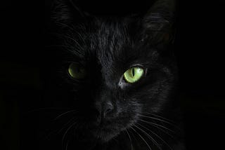 A close-up of the face of a black cat against a dark background