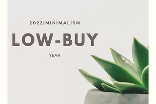 2022|Minimalism: Low-Buy Year