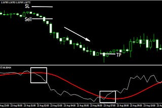 Build a momentum trading strategy & test the signal for alpha