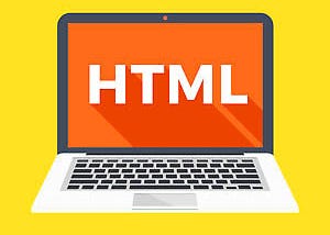 Basic HTML Elements for Beginners