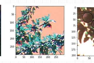 Reproducibility project for beginners — Deep Orchards: Integrating the Deep fruit data with Faster…