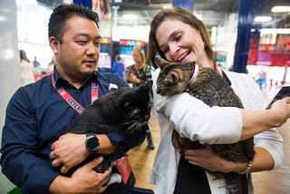 The 3 Biggest Highlights from Purina’s #BetterWithPets Summit