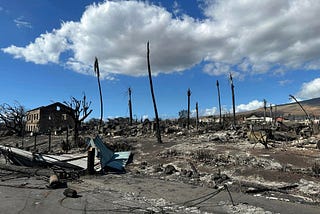 Animal Search and Rescue in the first days after the Lahaina fire.