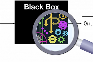 Black boxes and their intrusion