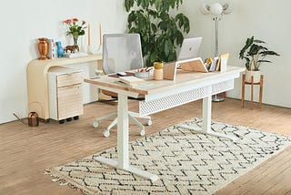 Best Rug For Home Office