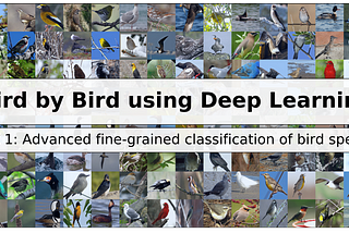 Bird by Bird using Deep Learning