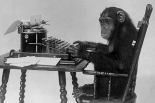 The Writer of Essays