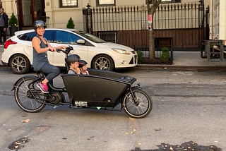 We got an Urban Arrow Cargo Bike