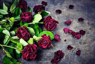 An image that contains dying roses and petals laid on the floorE.g.