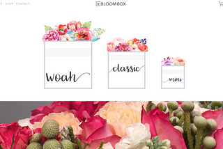 BloomBox