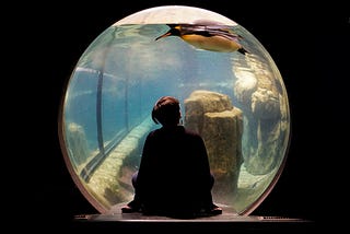 Women looking at a sperical aquarium