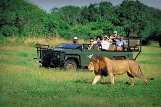 African holidays and Safaris, the best Places to visit in Africa