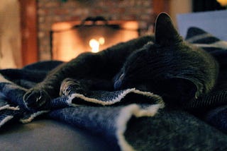 A black cat sleeping on a blue blanket. In the background, flames can be seen in an open fireplace.