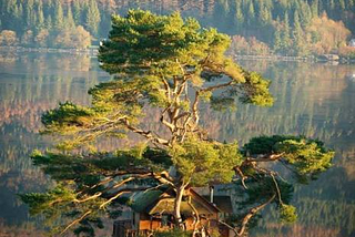 Tree House Lodge, Loch Goil, Scotland