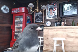 Junco’s, the tiniest pub in Newfoundland