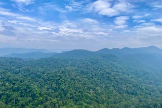 A walk to the heart of Sinharaja