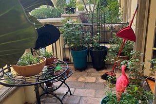 Sweeping My Neighbors’ Patios
