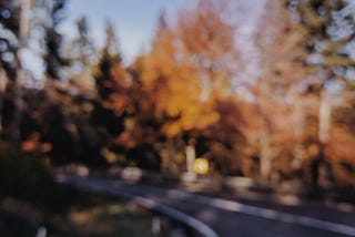 Blurry photo of a winding road, autumn trees, golden light