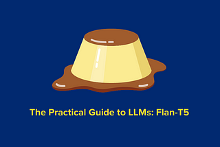 The Practical Guide to LLMs: Flan-T5