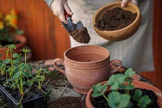 DIY potting soil is a cost-effective solution for container gardening and seed starting.