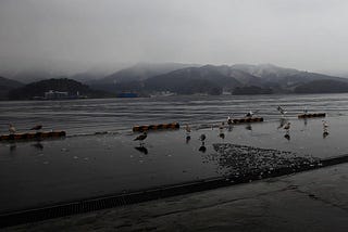 How We Visualized Life After Fukushima