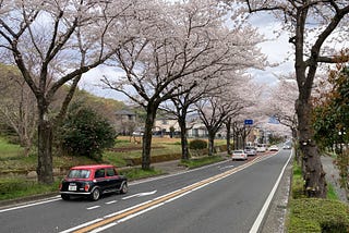 Cycling Notes #3: Why Bother with Filming?