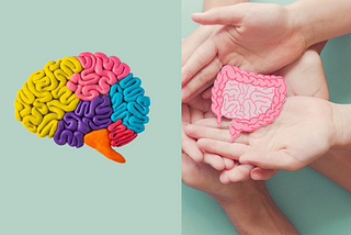 Your Brain and Gut Talk to Each Other — It’s Time We Paid Attention!
