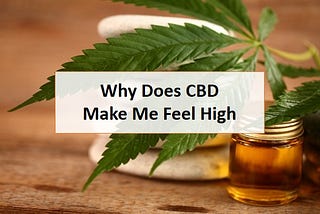 Why Does CBD Make Me Feel high?