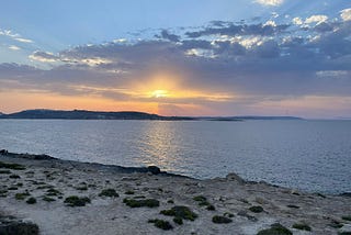 Market Commetary 29th July to 4th August 2024