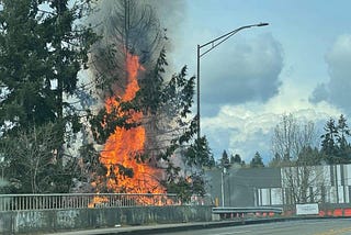 Impact of the 2828 Martin Way Homeless Shelter on the Applehill Neighborhood.