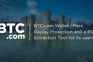 Replay Protection and BSV Extraction tool