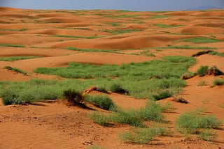 The details of BLM travel management plan for the San Rafael Desert in Utah